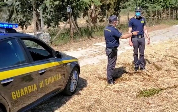 Enna - Contadini finti poveri col Reddito di Cittadinanza: 36 denunce (28.05.20)