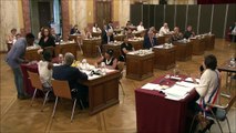 Conseil municipal du 27 mai 2020 : élection du maire de Vincennes (2e partie)