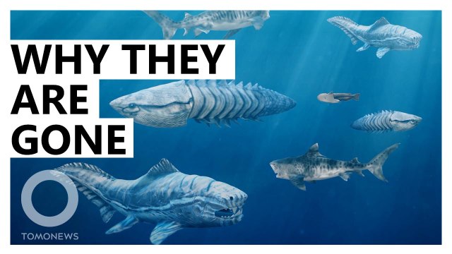 Ozone Depletion May Have Caused Prehistoric Extinction Event