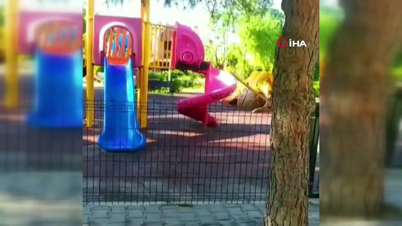 Polisten korkan çocuklar önce saklandı, sonra polisle hatıra fotoğrafı çektirdi