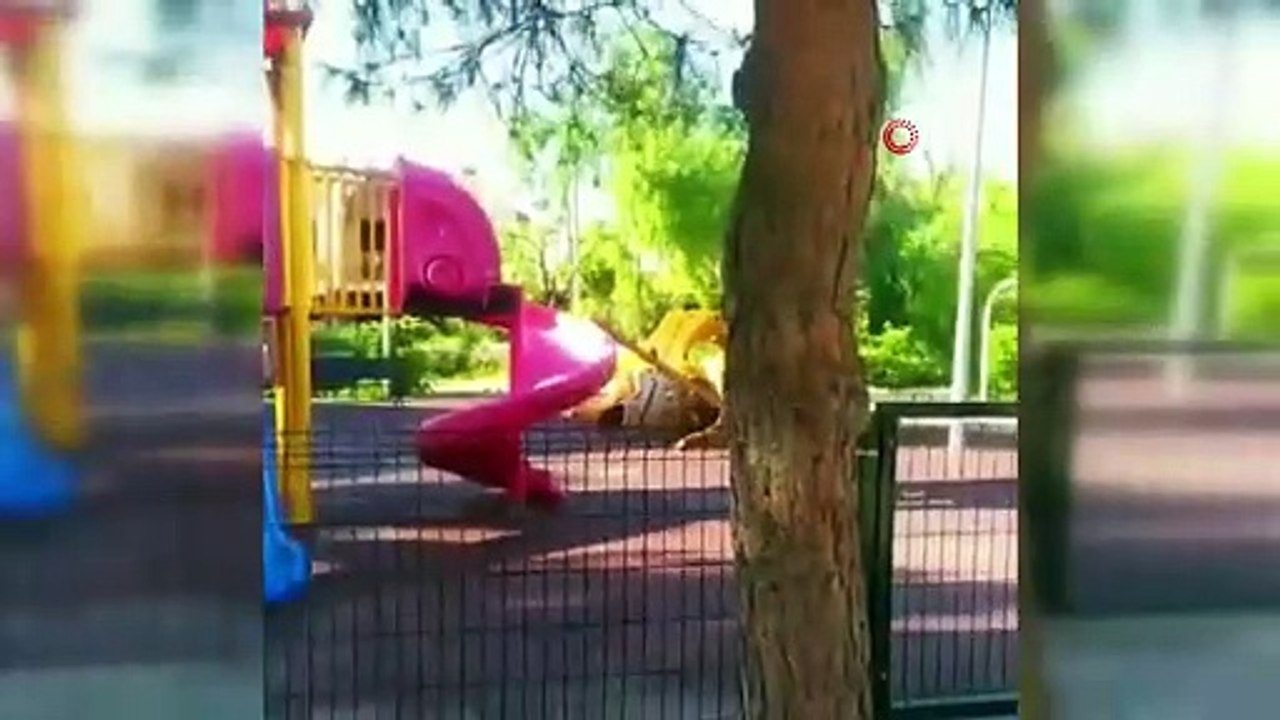 İzmir'de polisten korkan çocuklar önce saklandı, sonra polisle hatıra fotoğrafı çektirdi