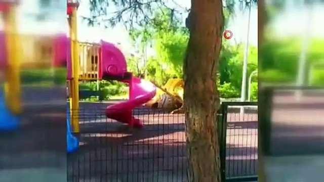 İzmir'de polisten korkan çocuklar önce saklandı, sonra polisle hatıra fotoğrafı çektirdi