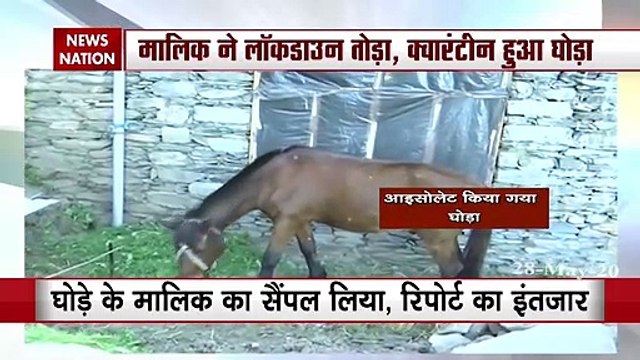 Jammu Kashmir: Horse, its owner sent to quarantine in J&K’s Rajouri