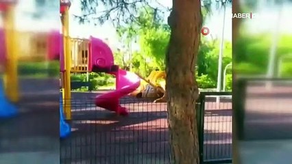 Polisi görünce saklandılar, yakalanınca fotoğraf çekildiler