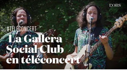 Téléconcert : la cumbia vénézuélienne de La Gallera Social Club