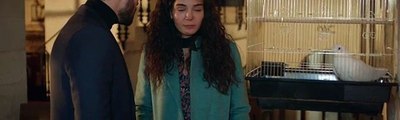 Hercai Capitulo 143 Completo Hercai Capitulo 143 Completo Hercai Capitulo 143 Completo Hercai Capitulo 143 Completo