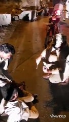 पुलिस का मानवीय रुप, साइकिल से घायल बच्चे के पपेेर पर हाथों से लगाया मरहम