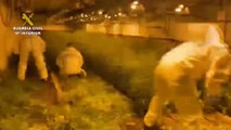 Desmanteladas dos narconaves en Barcelona donde se producía marihuana industrialmente