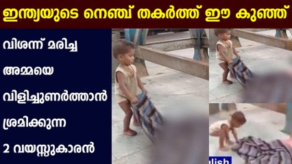അമ്മ വിശന്ന് മരിച്ചതറിയാതെ ഈ കുഞ്ഞ് , എഴുന്നേൽപ്പിക്കാൻ ശ്രമം! | Oneindia Malayalam