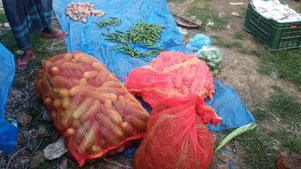 সফিপুর কাঁচাবাজার স্থানান্তরের পর কেমন ছিল প্রথম দিন, shafipur bazar,