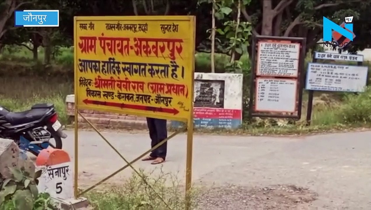 Jaunpur में चमगादड़ों की मौत से दहशत का माहौल,  एक के बाद एक पेड़ से गिरकर रहे हैं नीचे