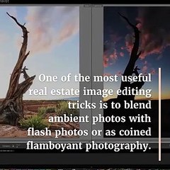 Flamboyant Photography uses Photoshop