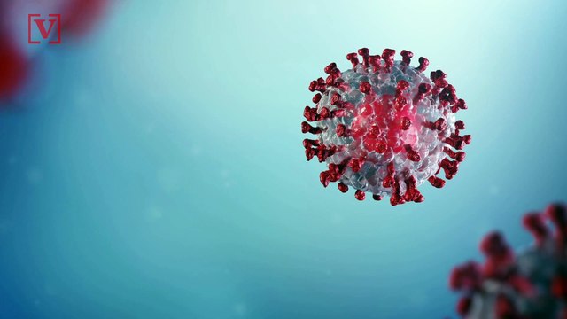 If You’re Waiting on Your Stimulus Payment, Check Your Junk Mail Because Here’s Why You May Have Thrown It Out