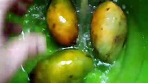 ঝটপট তৈরি করুন পাকা আমের মজাদার শরবত || Mango Juice Making recipe
