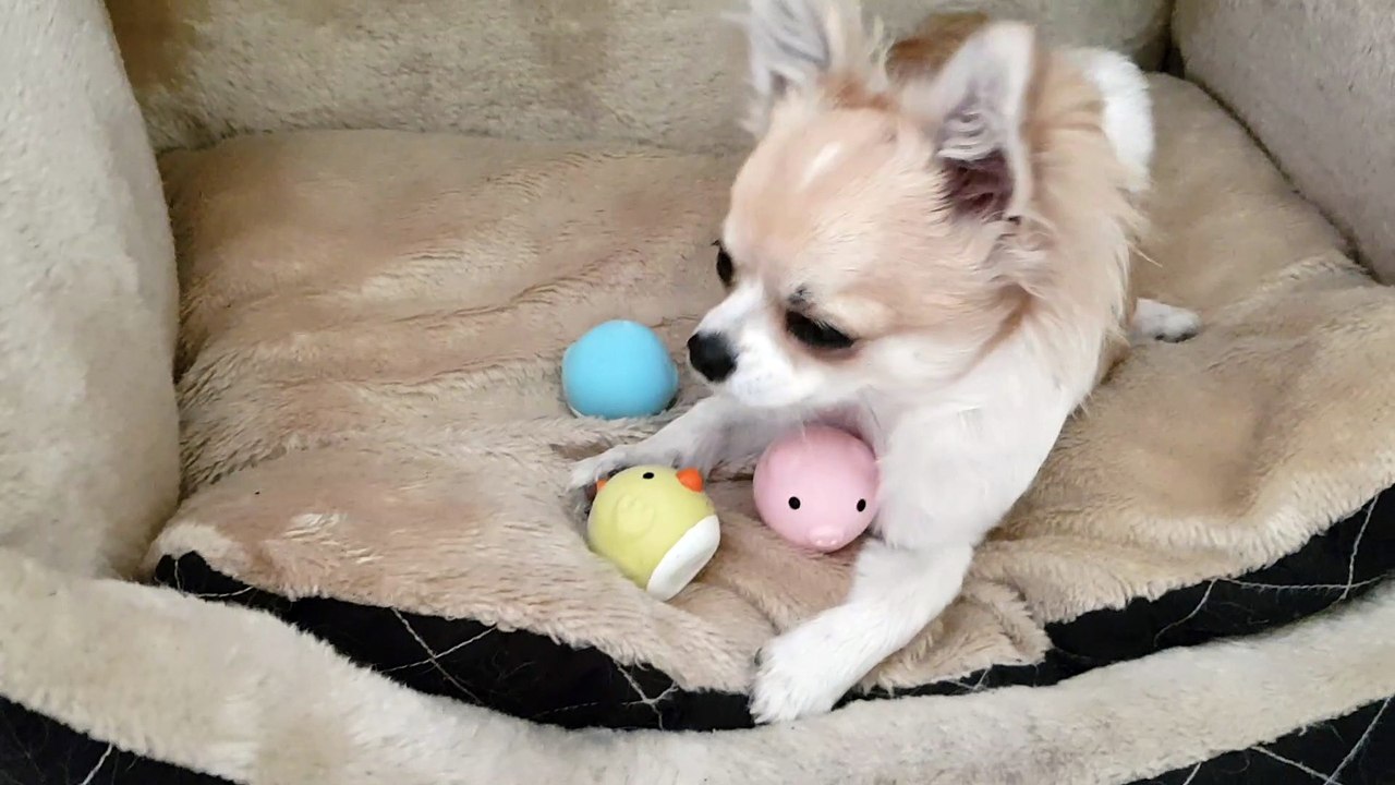 Petites balles suite