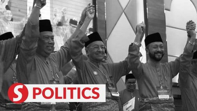 Dr M, Mukhriz, Syed Saddiq and two others axed from Bersatu