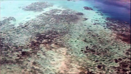 Madagascar, des baleines et des hommes