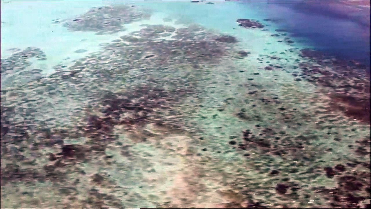 Madagascar, des baleines et des hommes