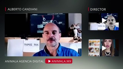 ¿Qué podemos aprender de las redes sociales?