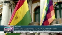 Bolivia: Parlamento solicita al TSE establecer nueva fecha de comicios