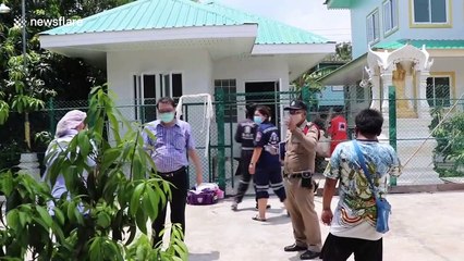 Loyal pet dogs guard elderly owner's body from paramedics after she was dead for five days