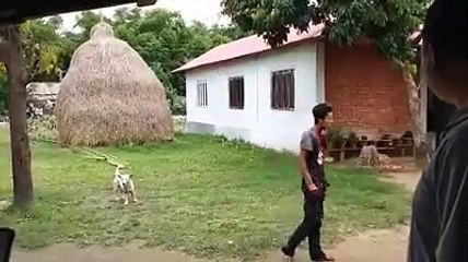 Morang मा आफ्नै घांटी रेटेर यसरी गरे आत्महत्या