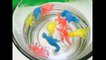 NEW Magic WATER EXPANDING Dinosaur Hatching Colored Sponge Toy Capsules