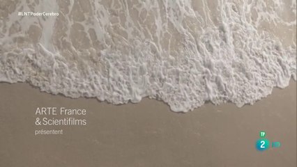 El poder de la mente 2/2: Conciencia [ HD ] - Documental