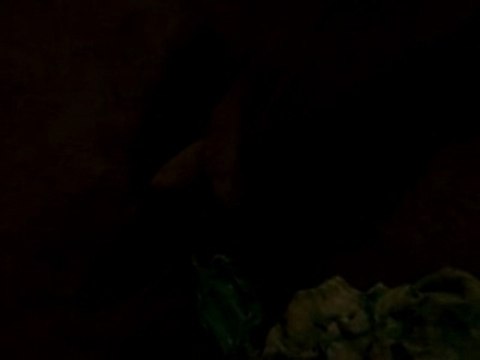 Bonnie croise les pattes