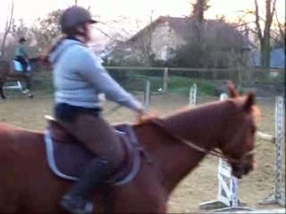 Garçon Dressage
