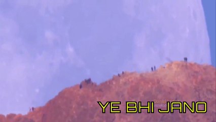 Reciting Al Quran and beautiful moon view in zoom