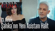 Halit, Şahika'nın teklifini kabul ediyor - Yasak Elma 73. Bölüm