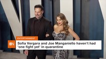 Sofia Vergara And Joe Manganiello Don't Fight