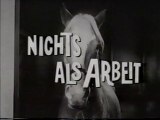 Mr. Ed - 072. Nichts als Arbeit