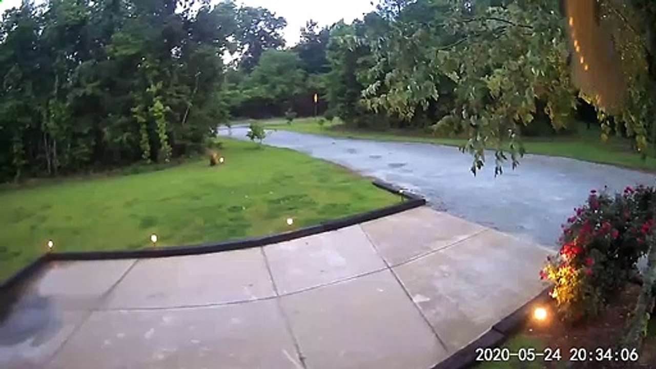 Snake Slithers On Security Camera