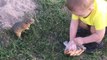 Squirrel Gratefully Takes Toddler's Pizza