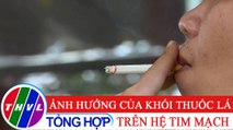 Sức khỏe của bạn: Ảnh hưởng của khói thuốc lá trên hệ tim mạch