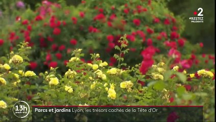 À la découverte du parc de la Tête d'or, le poumon vert de Lyon