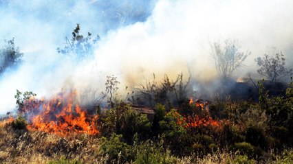 Bodrum’da yangın kabusu!