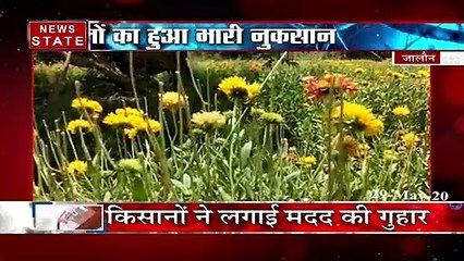 Uttar Pradesh: जालौन-लॉकडाउन में फूलों की फसल हुई बर्बाद, किसान हुआ बेबस