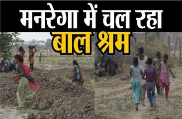 मनरेगा में चल रहा बाल श्रम