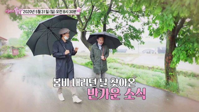 윤자 엄마의 쨍하고 해 뜰 날_엄마의 봄날 246회 예고