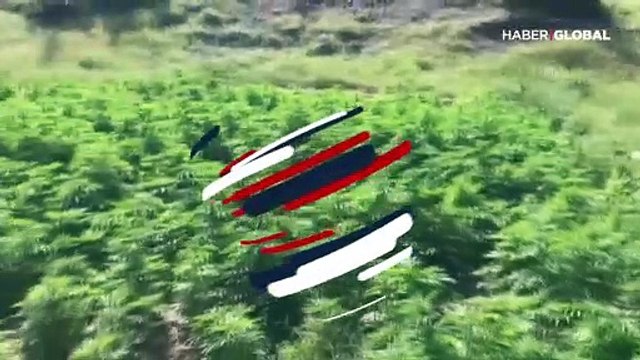 Diyarbakır'da 'rekor' operasyon! Tek seferde ele geçirilen en büyük miktar