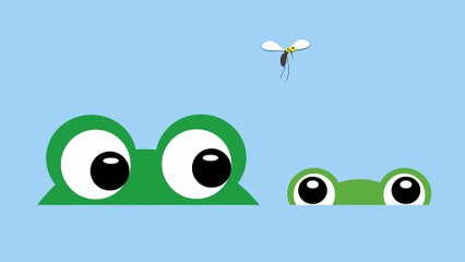 Vilmos Gryllus: Froggie | Half Minute Song | MESE TV