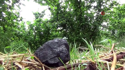 Ot biçerken tarlada buldu... Göktaşı olduğunu iddia etti