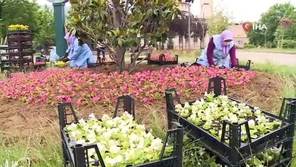 200 bin çiçek toprakla buluşuyor