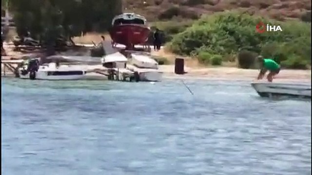 Sahil Güvenlik öldürülen köpek balığıyla ilgili harekete geçti