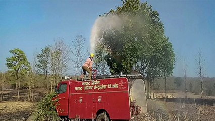 Jhansi launches locust control operation in vulnerable areas