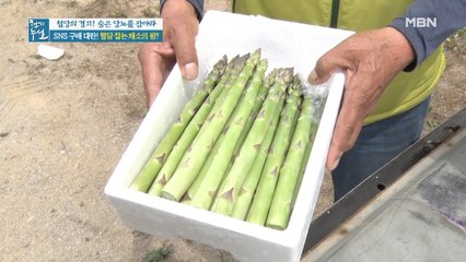 혈당 잡는 채소의 왕 ]]♥아스파라거스♥[[