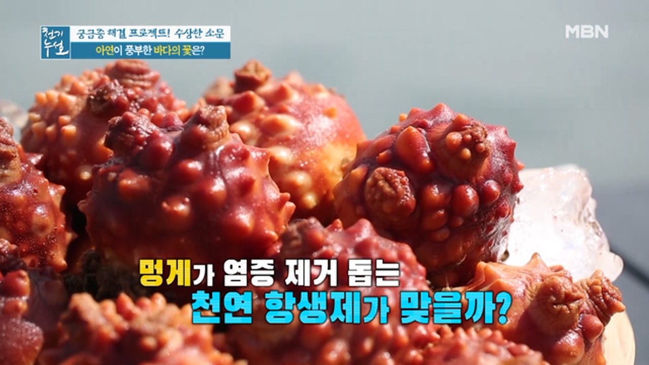 1도 없어~ 부작용 느낌~ 아연이 풍부해서 단 1도 없어~~